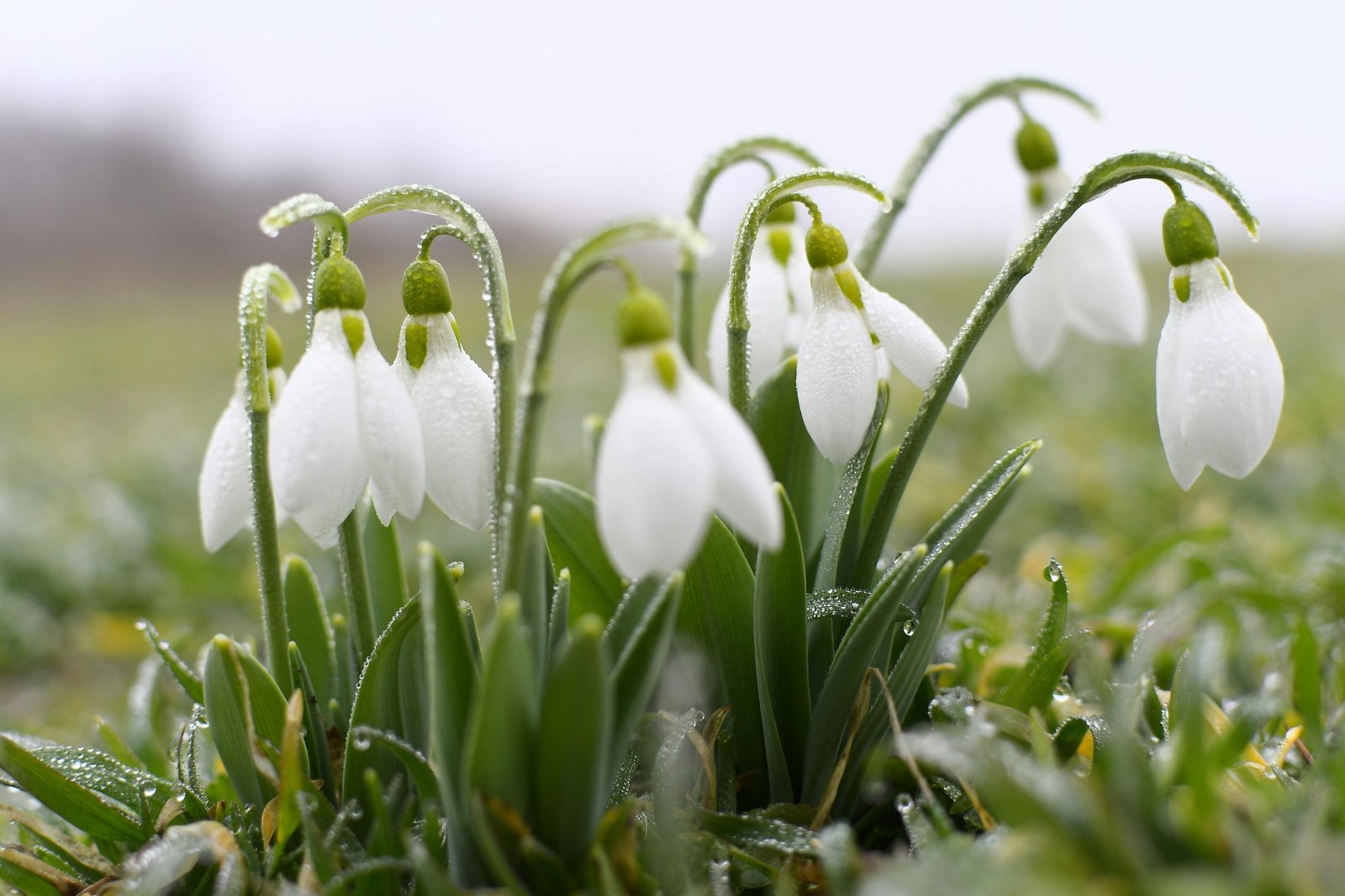 Селски туризъм в България: Завръщане към корените и спокойствието